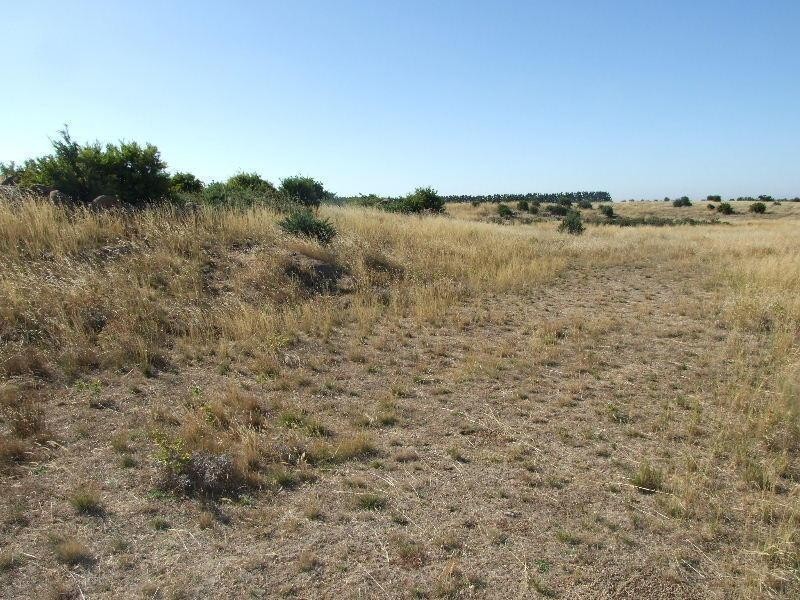 45 Dickson Road CLUNES 3370, Clunes VIC 3370