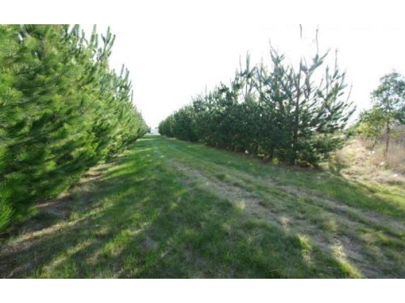 160 Creswick Road CLUNES 3370, Clunes VIC 3370