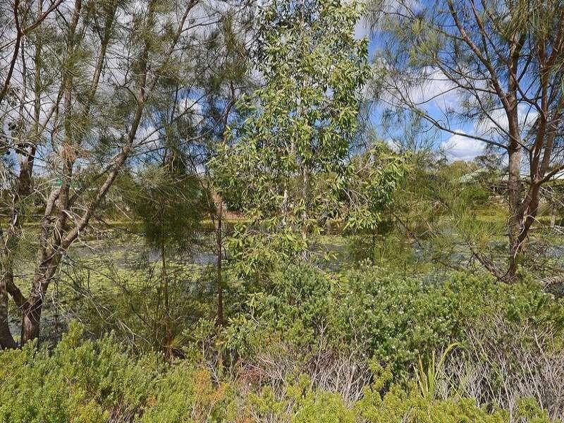 7 Conservation Drive, Urraween QLD 4655