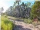 167 Honeyeater Drive, Walligan QLD 4655