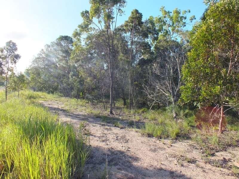 167 Honeyeater Drive, Walligan QLD 4655
