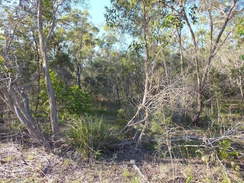 167 Honeyeater Drive, Walligan QLD 4655