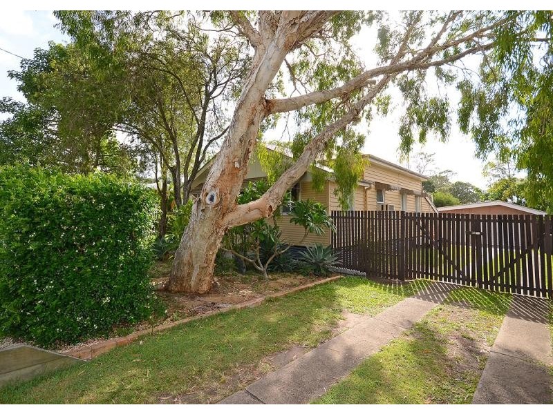 56 Newhaven Street, Pialba QLD 4655