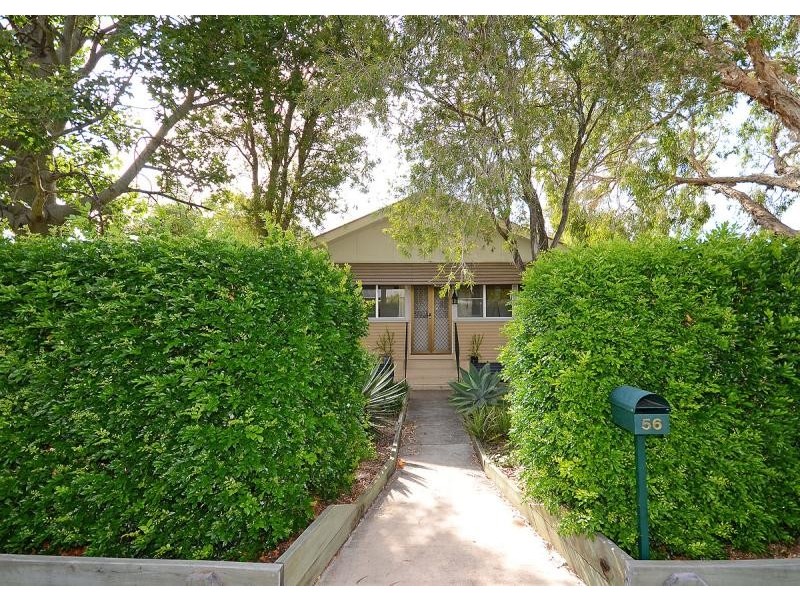 56 Newhaven Street, Pialba QLD 4655