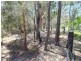 71 Ti Tree Road West, Booral QLD 4655