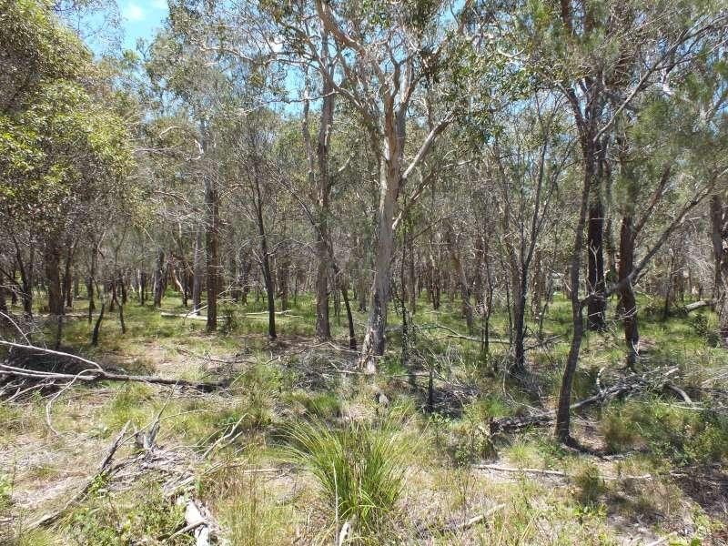 71 Ti Tree Road West, Booral QLD 4655