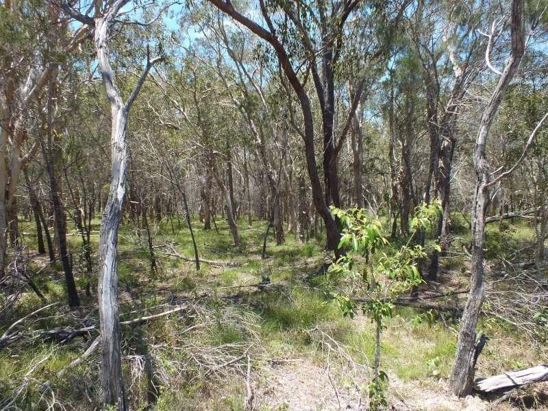 71 Ti Tree Road West, Booral QLD 4655