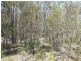 71 Ti Tree Road West, Booral QLD 4655