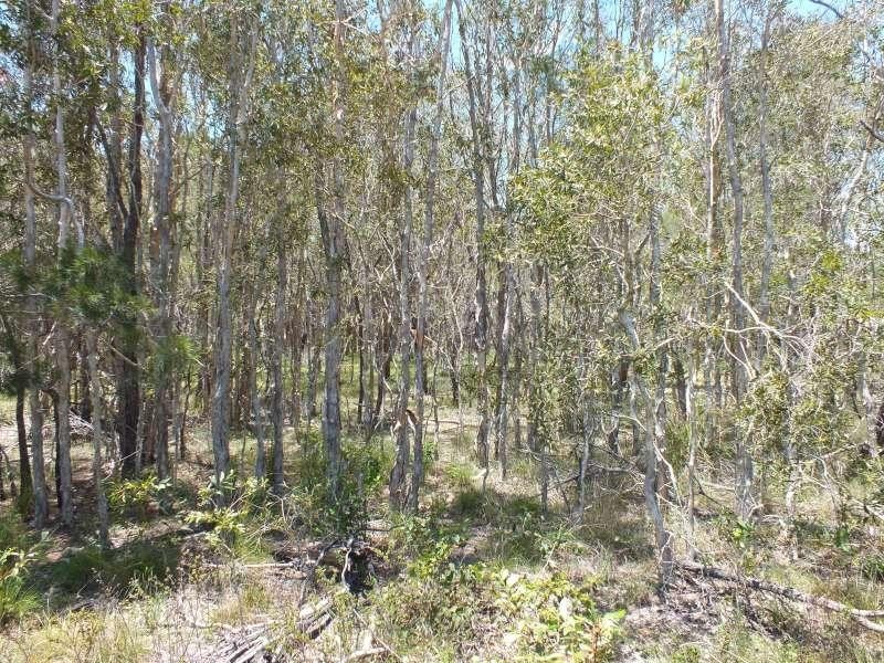 71 Ti Tree Road West, Booral QLD 4655