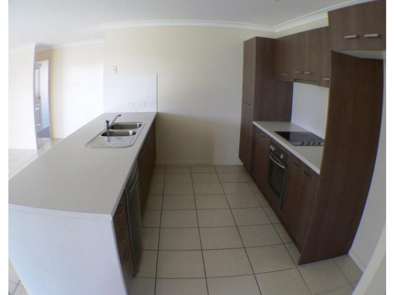 54 Daintree Street, Bellmere QLD 4510