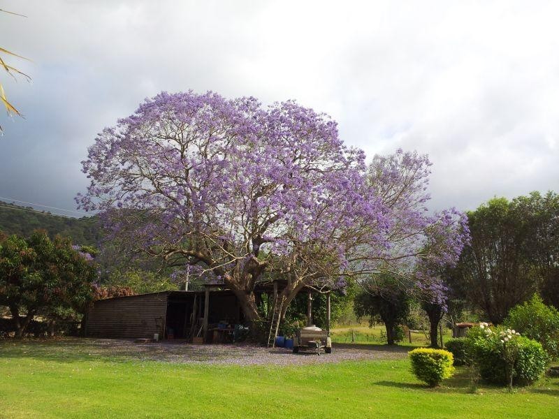 88 Ross Road GOOMBOORIAN 4570, Goomboorian QLD 4570