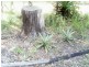 22 Mango  Crescent MACLEAY ISLAND 4184, Macleay Island QLD 4184