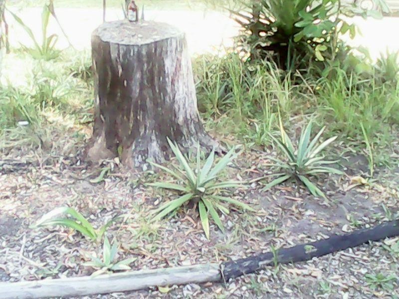 22 Mango  Crescent MACLEAY ISLAND 4184, Macleay Island QLD 4184