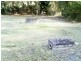 22 Mango  Crescent MACLEAY ISLAND 4184, Macleay Island QLD 4184