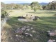 Tenterfield NSW 2372