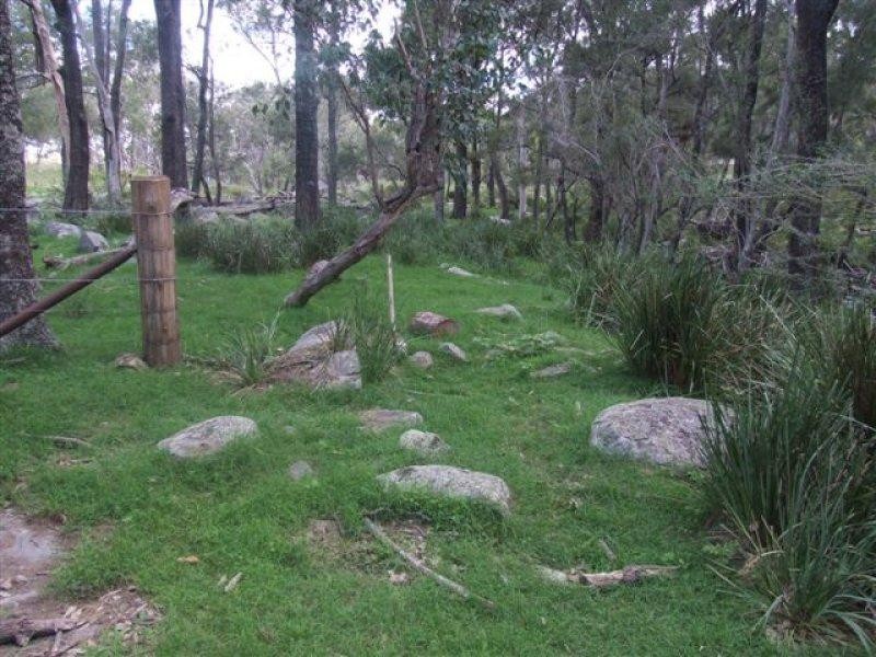 Tenterfield NSW 2372