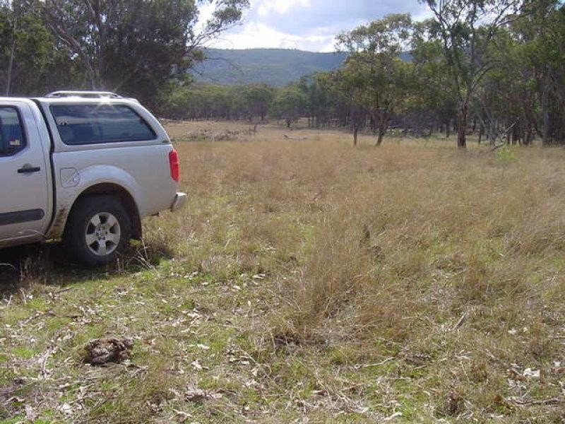 Tenterfield NSW 2372