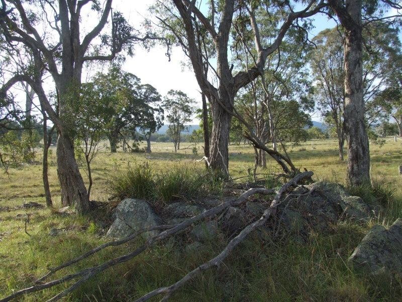 Tenterfield NSW 2372