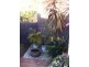 Roselands NSW 2196