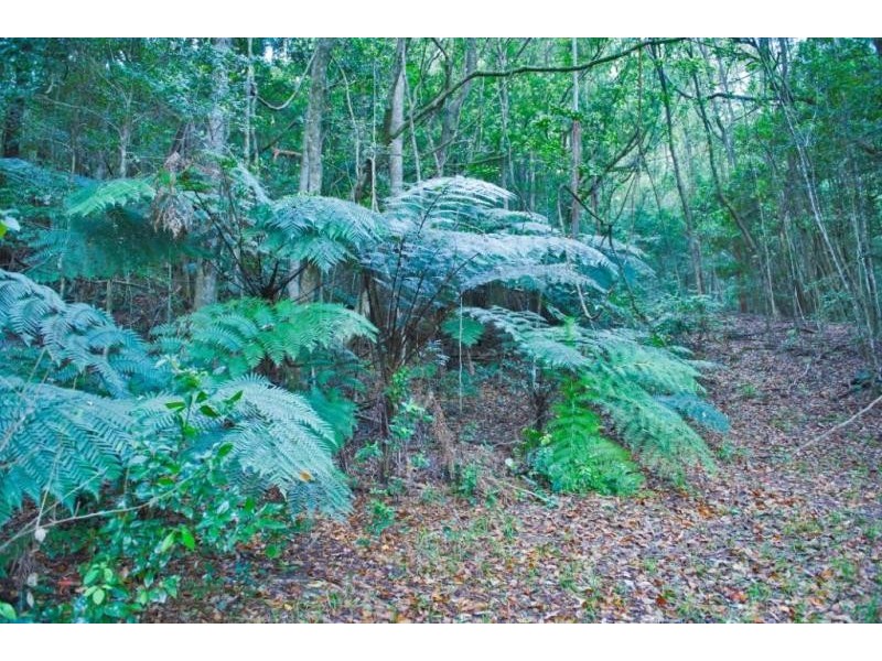 Murwillumbah NSW 2484