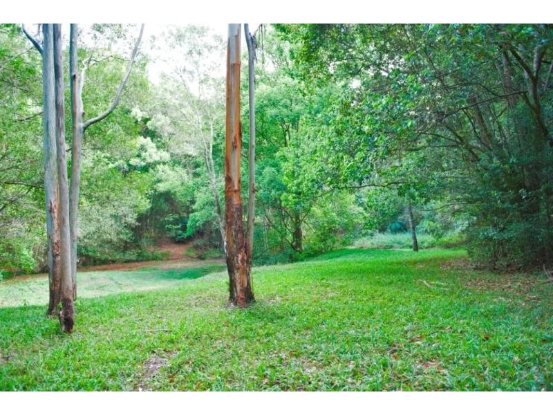 Murwillumbah NSW 2484