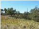 Graman NSW 2360
