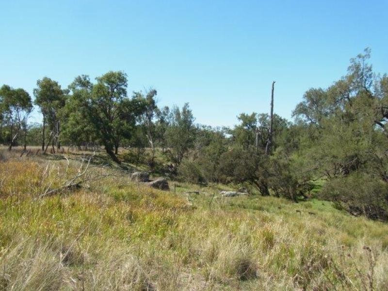 Graman NSW 2360