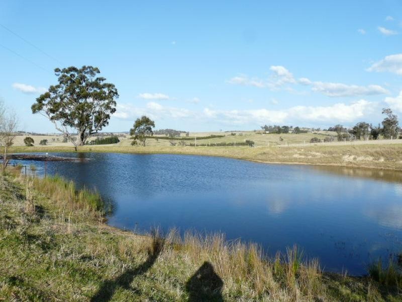 Tenterfield NSW 2372