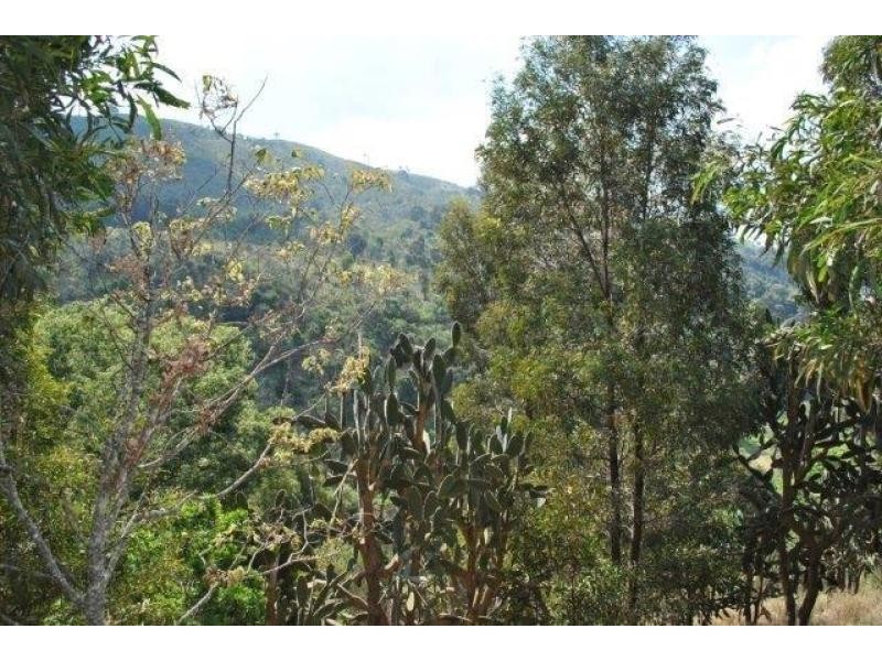 Lefthand Branch QLD 4343