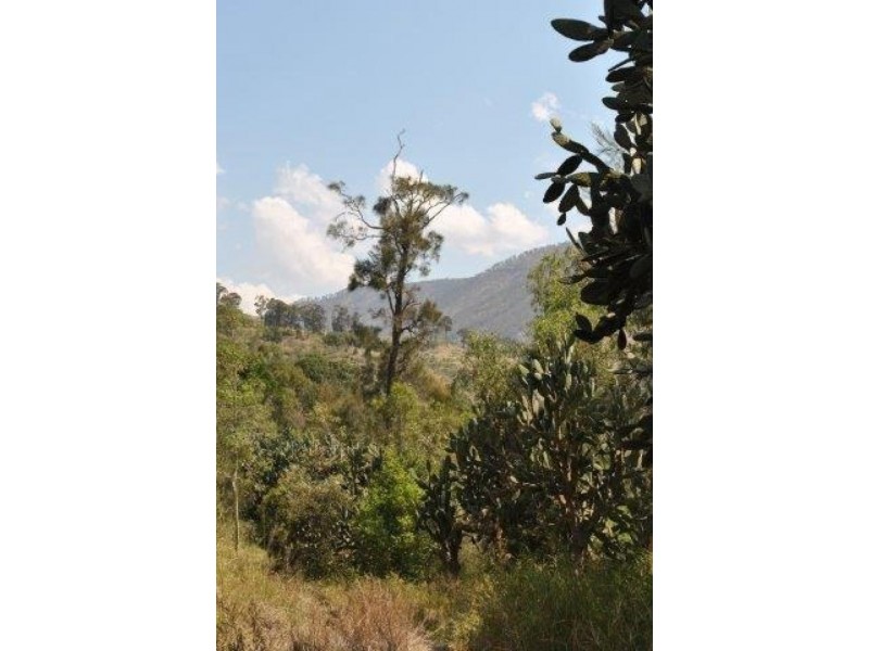 Lefthand Branch QLD 4343