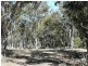 Tenterfield NSW 2372