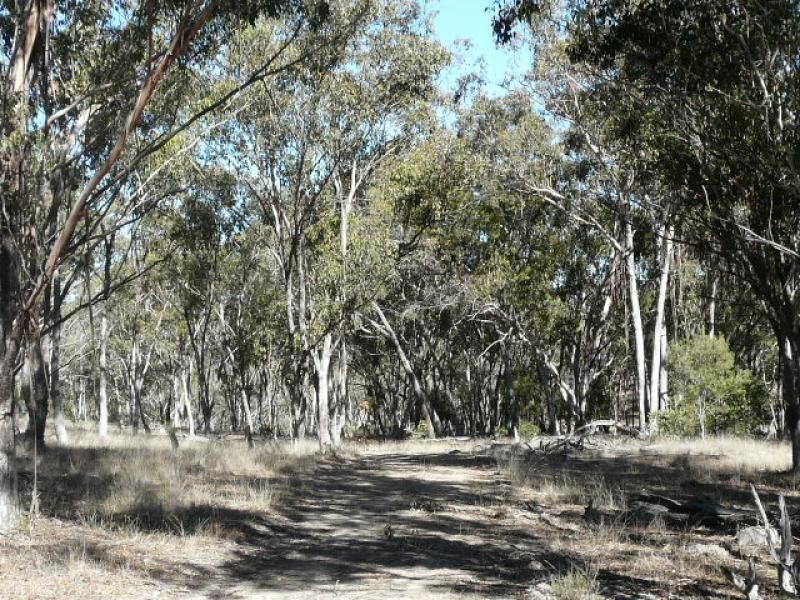 Tenterfield NSW 2372