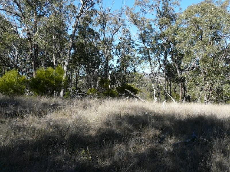 Tenterfield NSW 2372