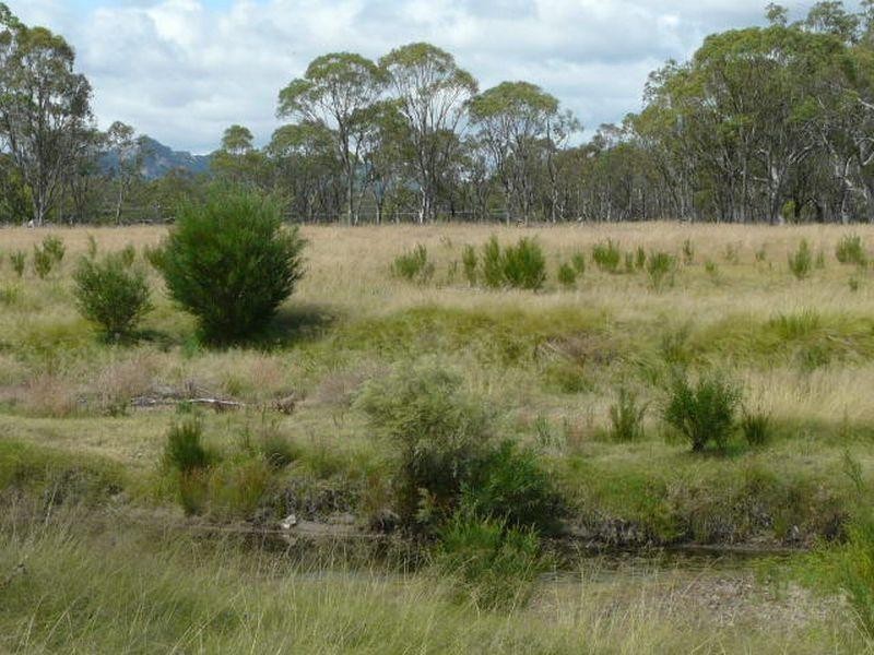 Tenterfield NSW 2372