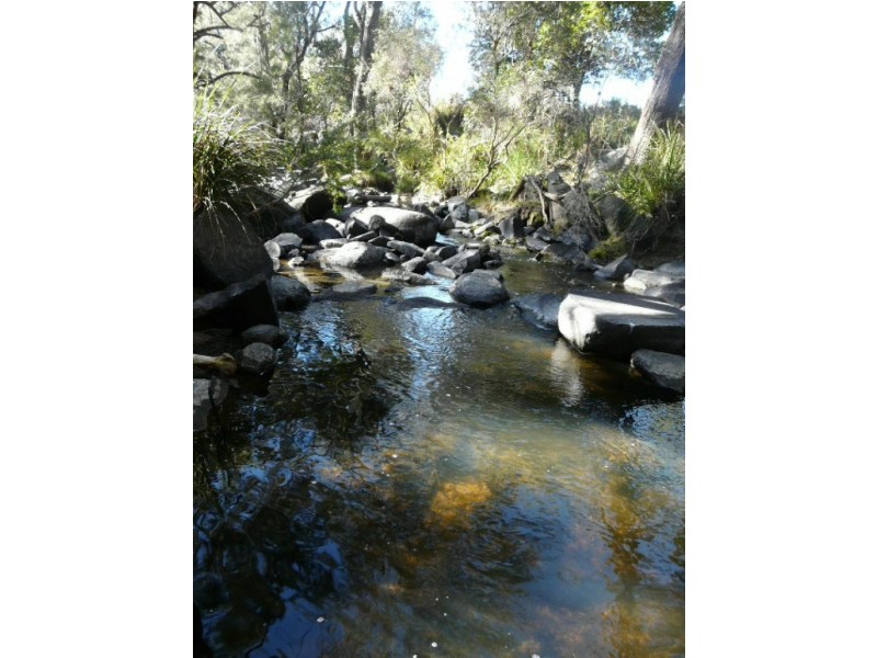 Tenterfield NSW 2372