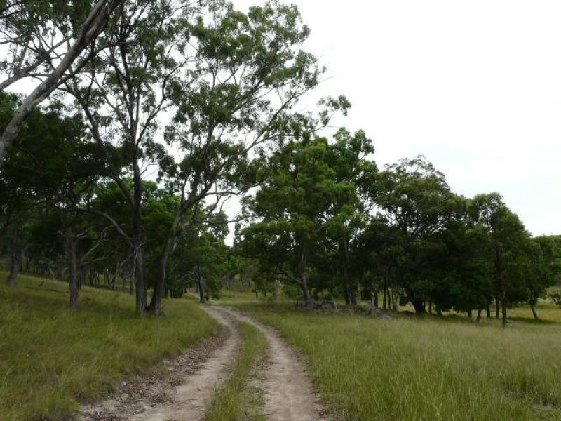 Tenterfield NSW 2372