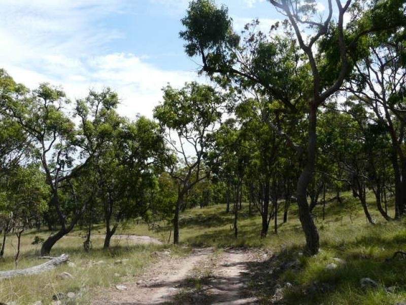 Tenterfield NSW 2372