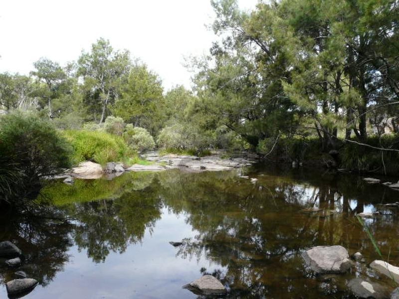 Tenterfield NSW 2372
