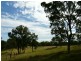 Tenterfield NSW 2372