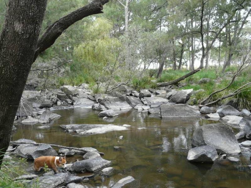 Tenterfield NSW 2372