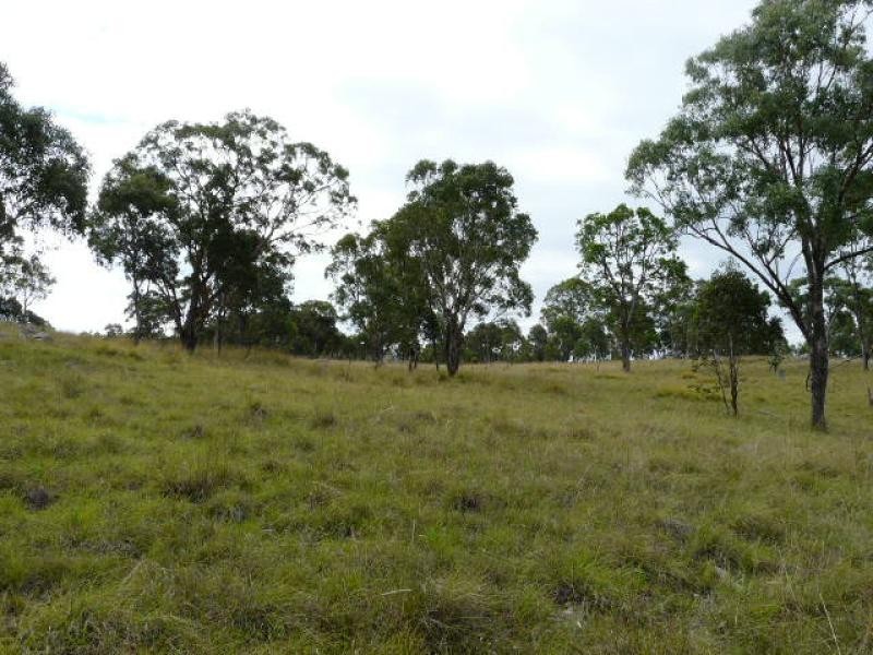 Tenterfield NSW 2372