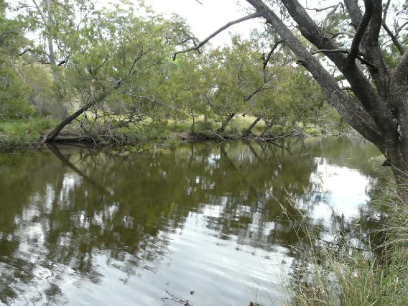 Tenterfield NSW 2372