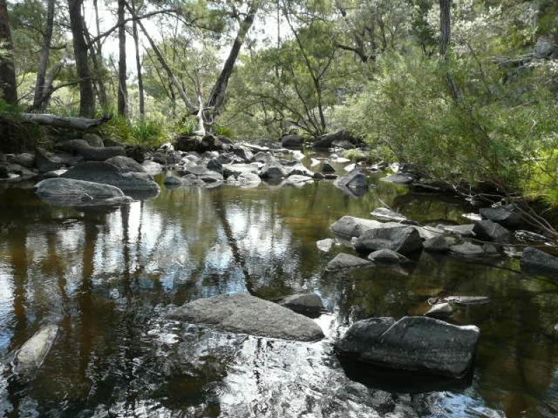 Tenterfield NSW 2372