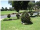 34 Cobb Street, Tolland NSW 2650