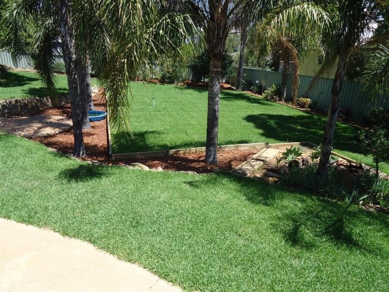 34 Cobb Street, Tolland NSW 2650
