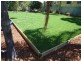 34 Cobb Street, Tolland NSW 2650