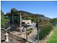 59 Peppermint Drive, Wagga Wagga NSW 2650