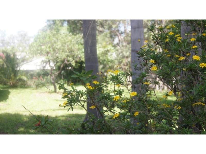 60 Westminster  Street, Schofields NSW 2762