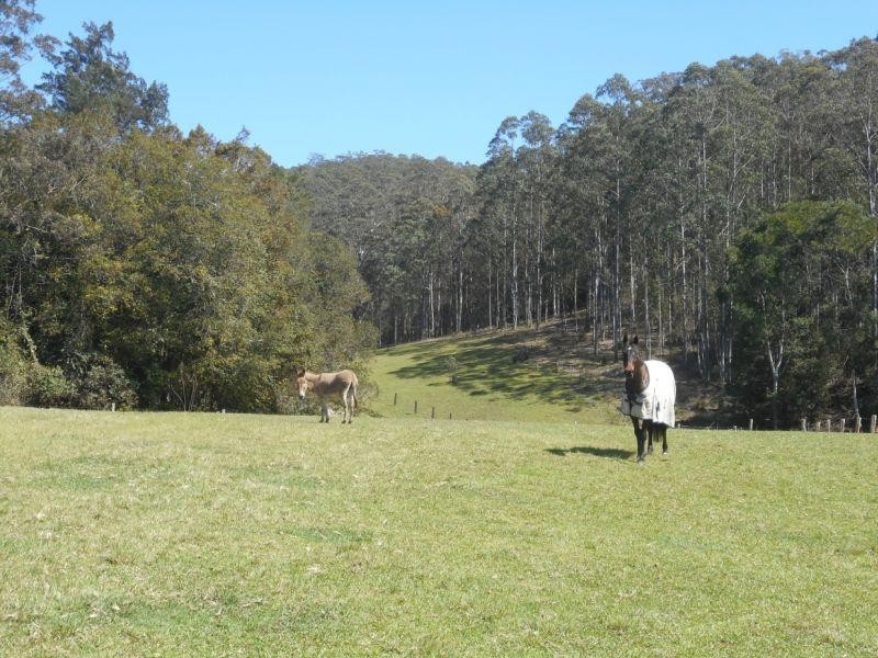 Upper Myall NSW 2423