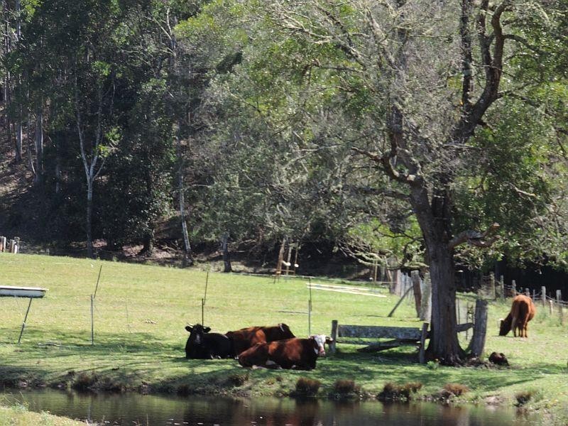 Upper Myall NSW 2423